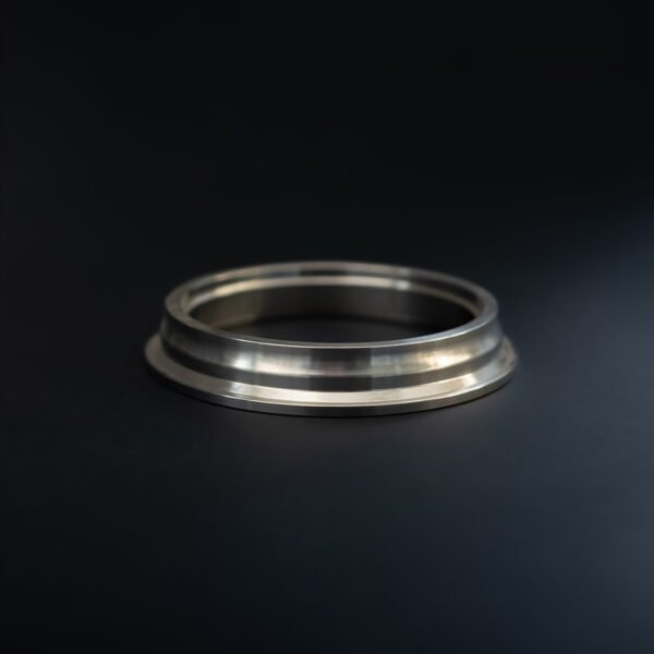 V Band para Abarth con turbo Garret